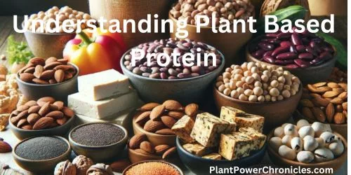 A visual of the Plant based Proteins